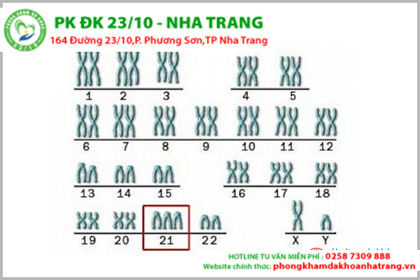 14 – 17 tuần: Xét nghiệm sàng lọc Triple test